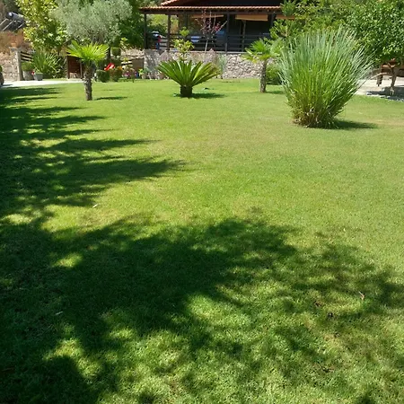 Dimitris' - 2 אורמוס פנגיאס