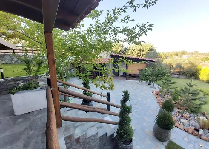 Dimitris' - 2 *