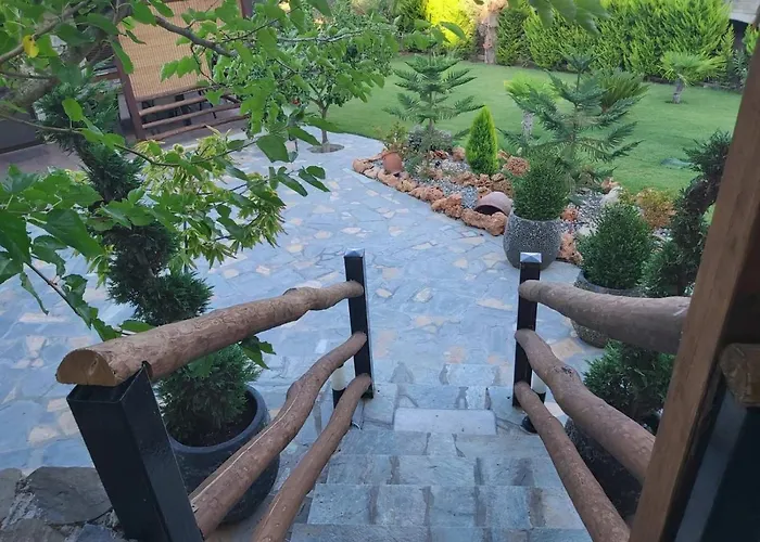 Dimitris' - 2 公寓 奥马斯帕纳吉亚斯