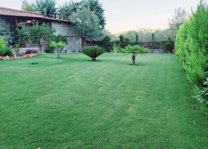 公寓 Dimitris' - 2 *