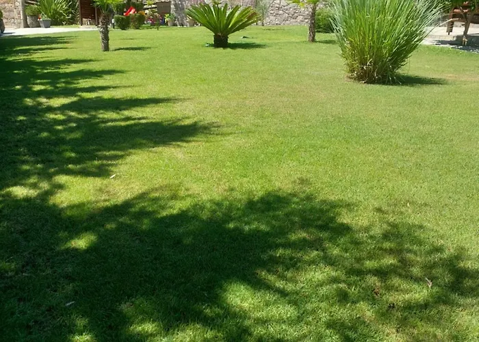 Dimitris' - 2 奥马斯帕纳吉亚斯